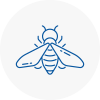 Bee Nest Removal West Hallam