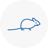 Mice Exterminators In West Hallam