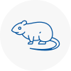 Rat Control West Hallam