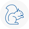 West Hallam Rodent Removals